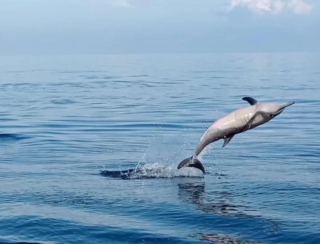 WhatsApp-Image-2024-11-08-at-17.16.45-1